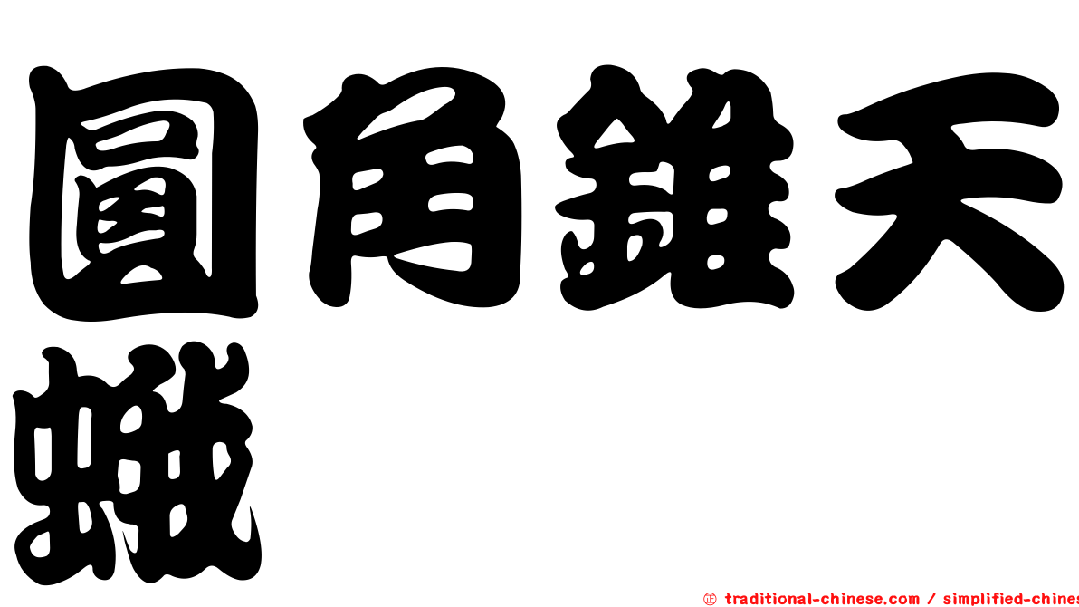 圓角錐天蛾