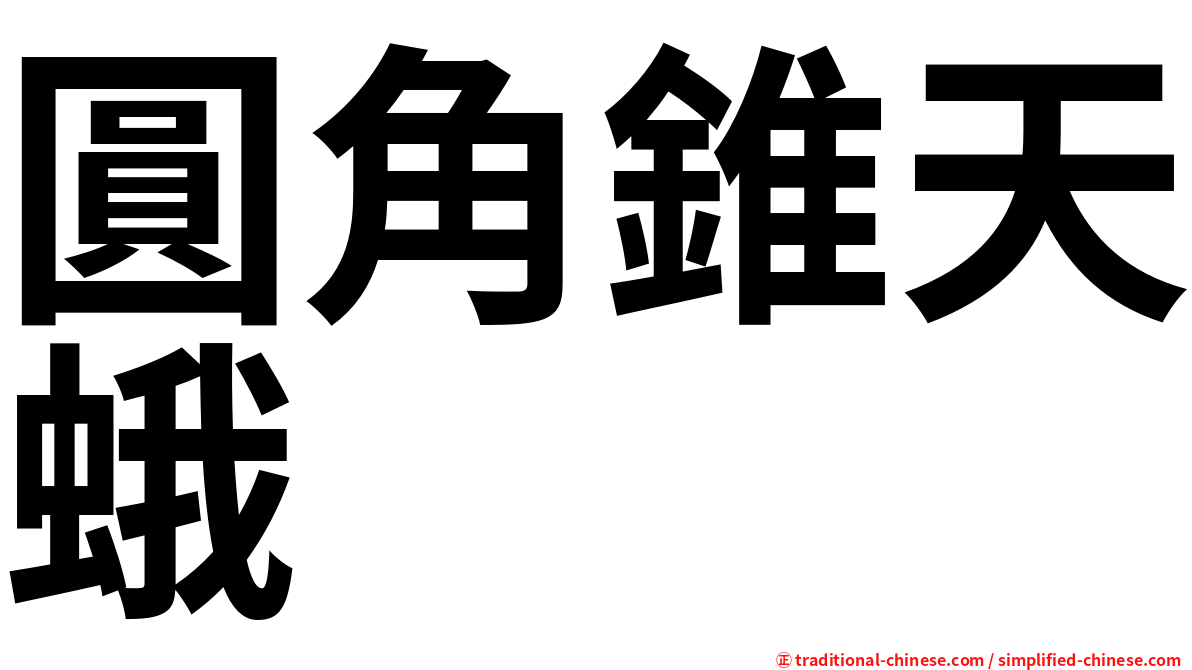 圓角錐天蛾