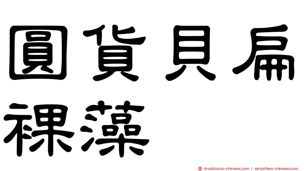 圓貨貝扁裸藻