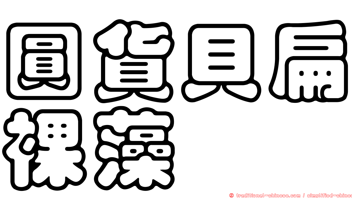圓貨貝扁裸藻