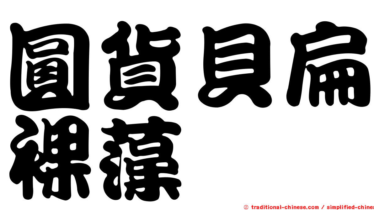 圓貨貝扁裸藻