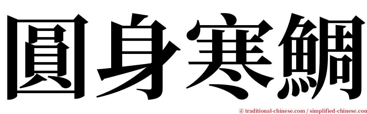 圓身寒鯛 serif font