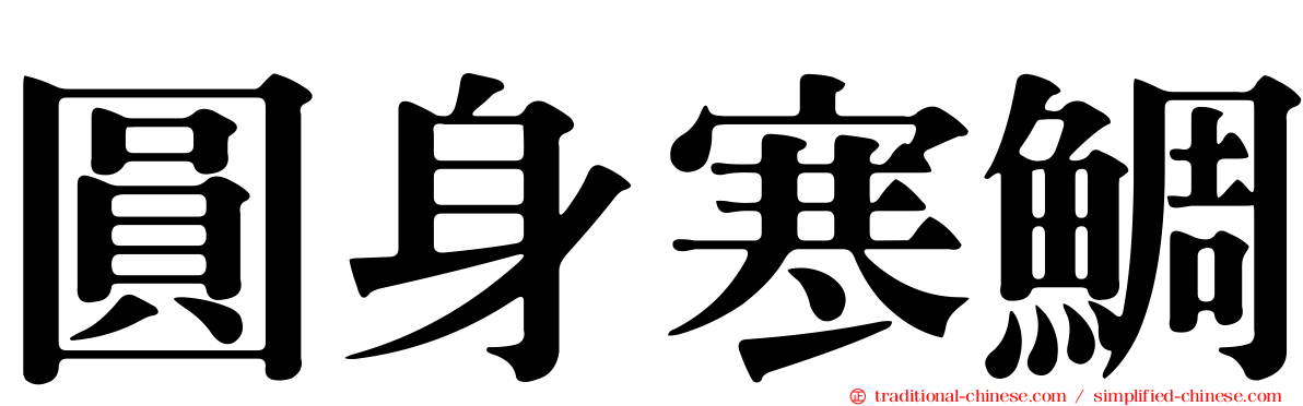 圓身寒鯛