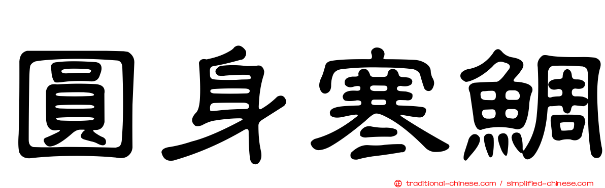 圓身寒鯛