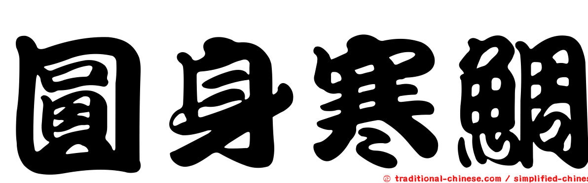 圓身寒鯛