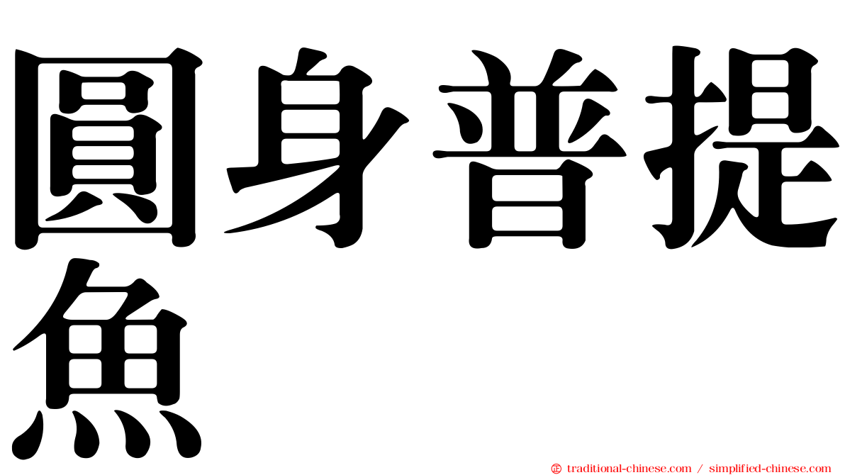 圓身普提魚