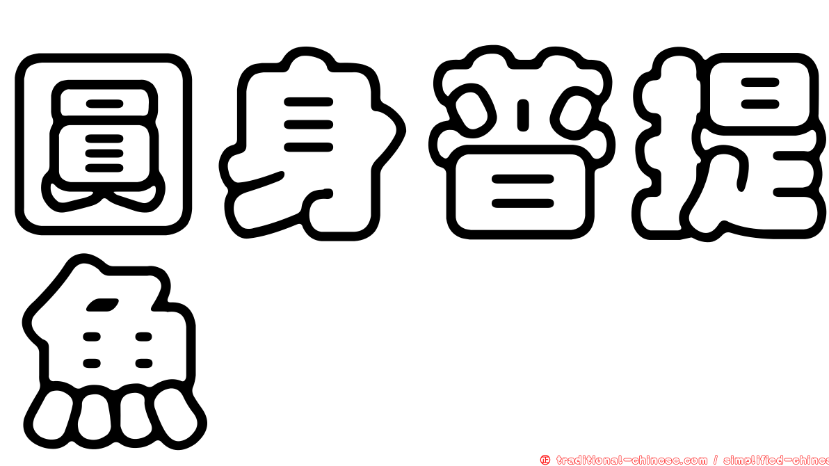 圓身普提魚
