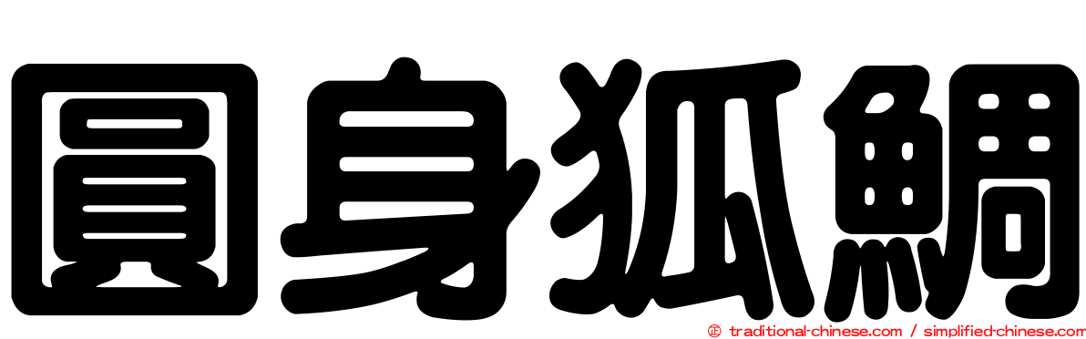 圓身狐鯛