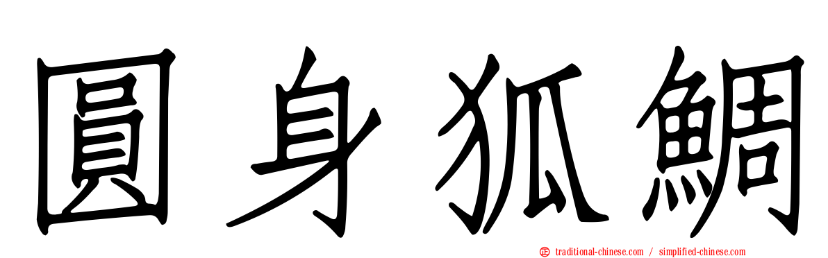 圓身狐鯛