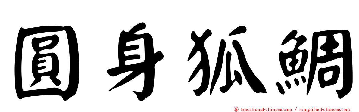 圓身狐鯛