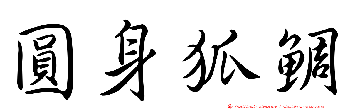 圓身狐鯛