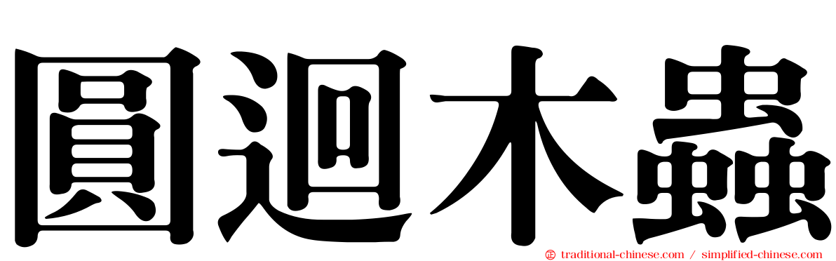 圓迴木蟲