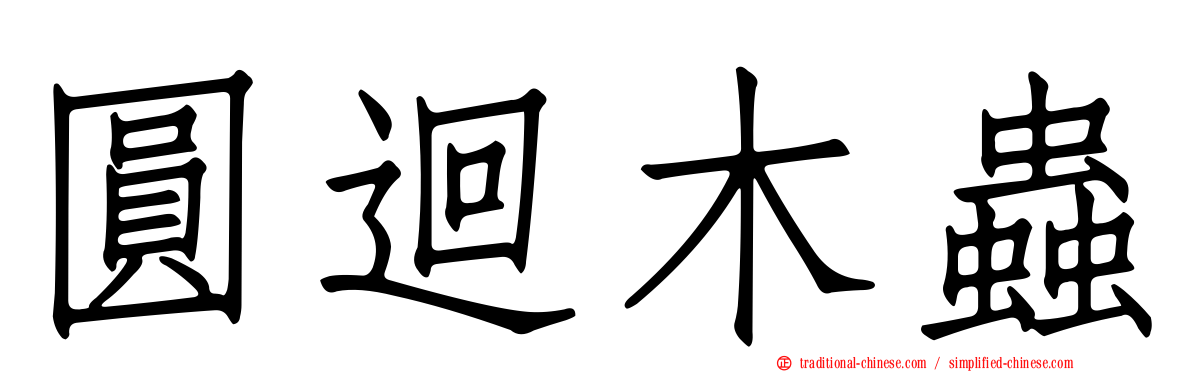圓迴木蟲