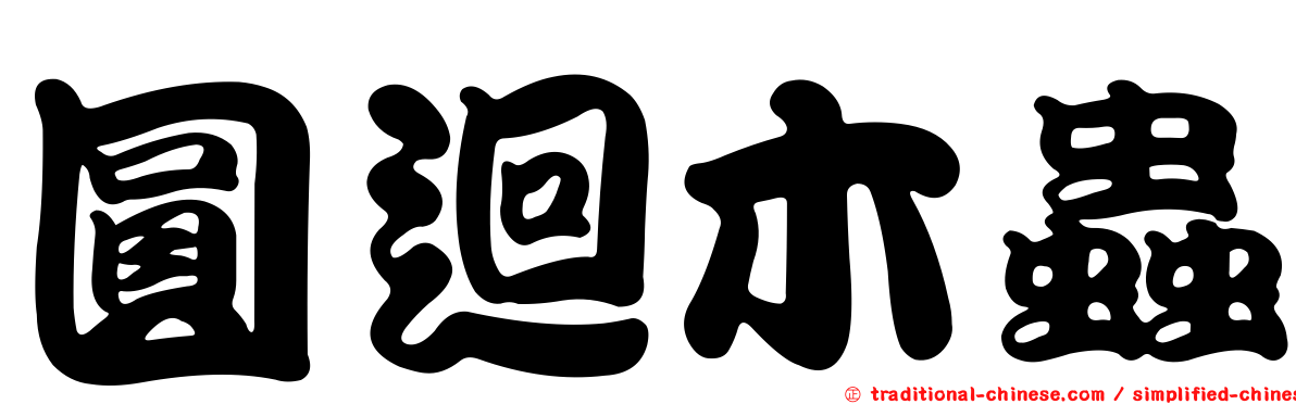圓迴木蟲