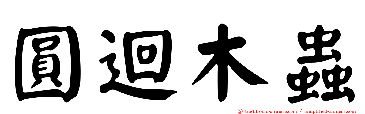 圓迴木蟲