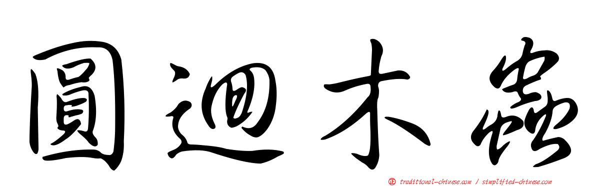 圓迴木蟲