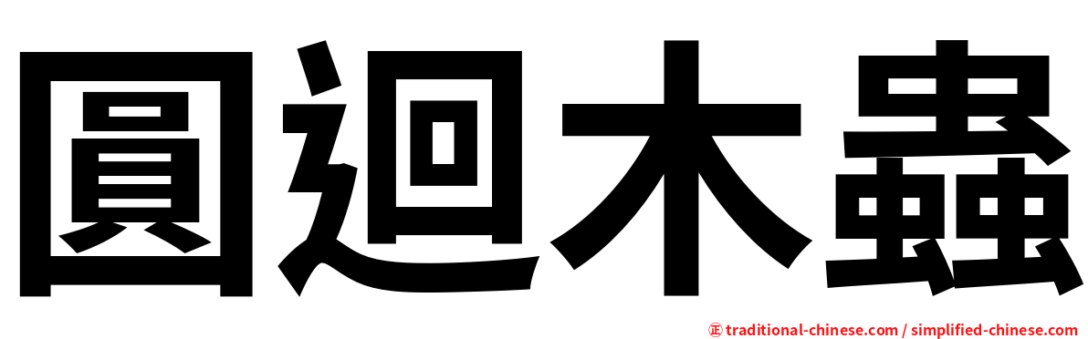 圓迴木蟲
