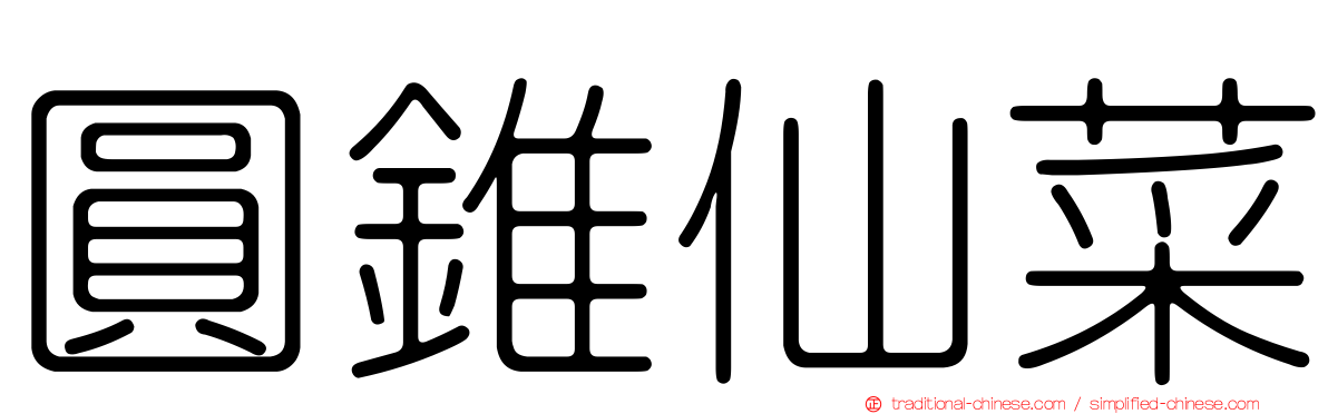 圓錐仙菜