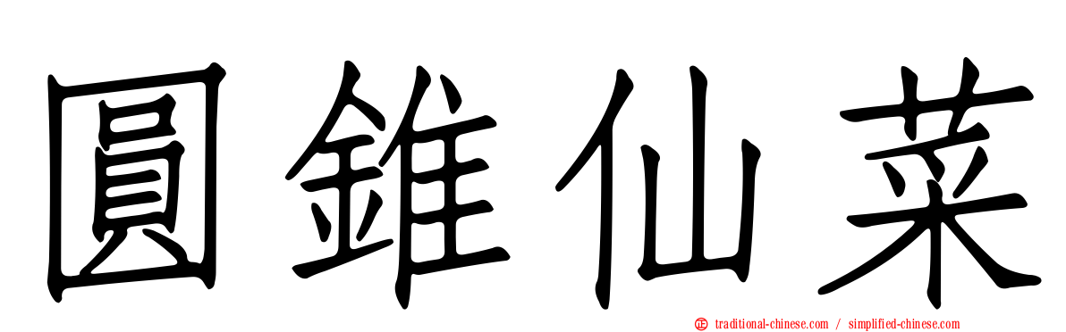 圓錐仙菜