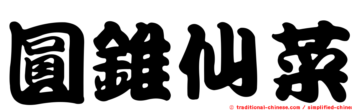 圓錐仙菜