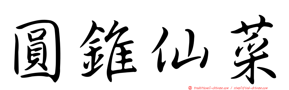 圓錐仙菜