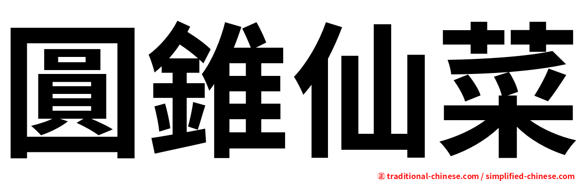 圓錐仙菜