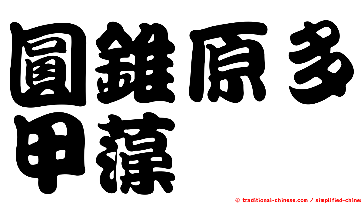 圓錐原多甲藻