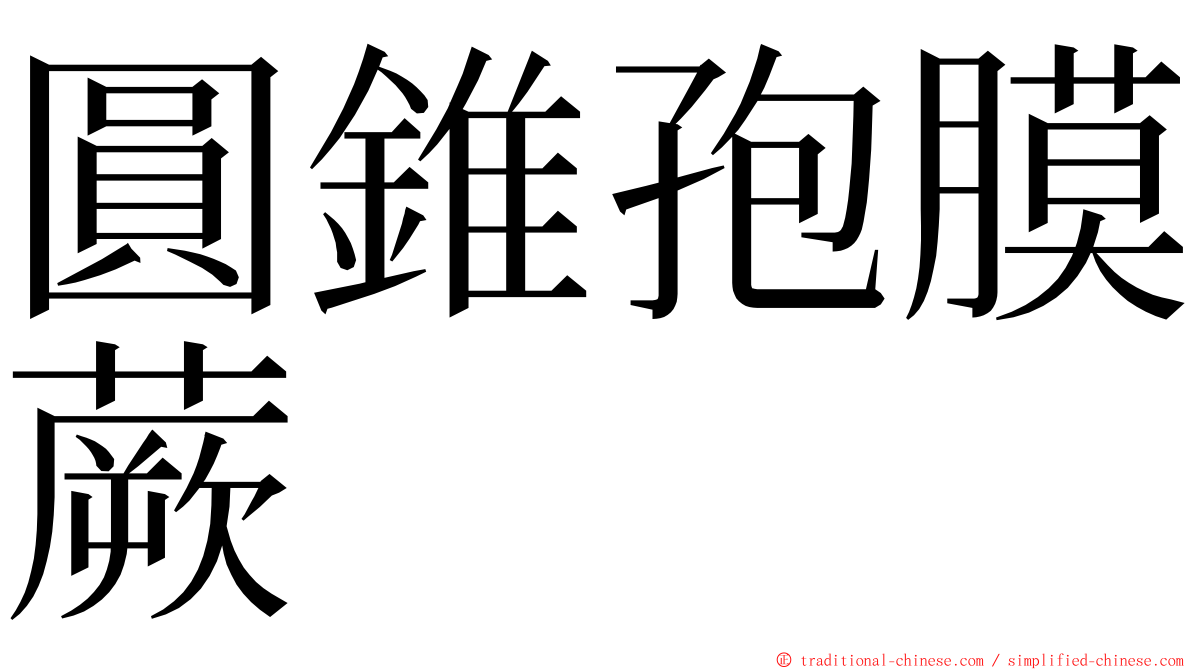 圓錐孢膜蕨 ming font