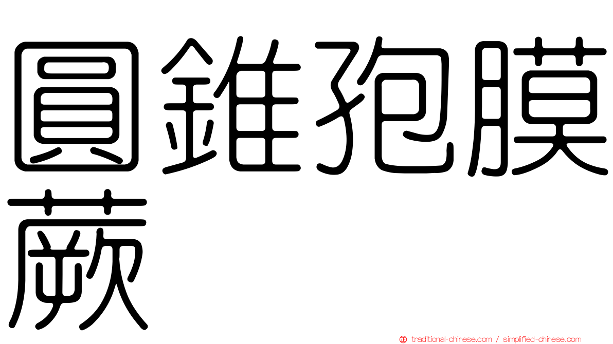 圓錐孢膜蕨