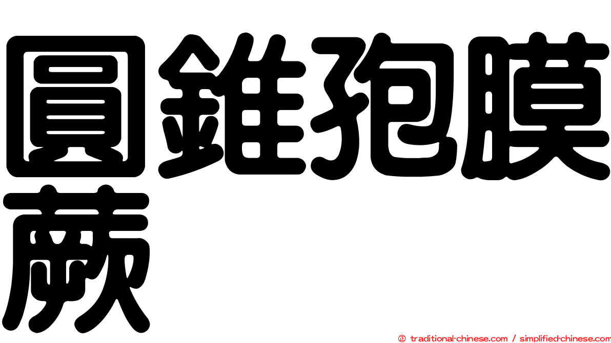 圓錐孢膜蕨