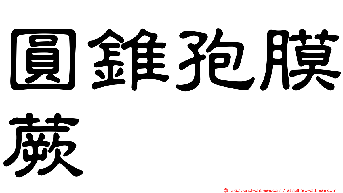 圓錐孢膜蕨