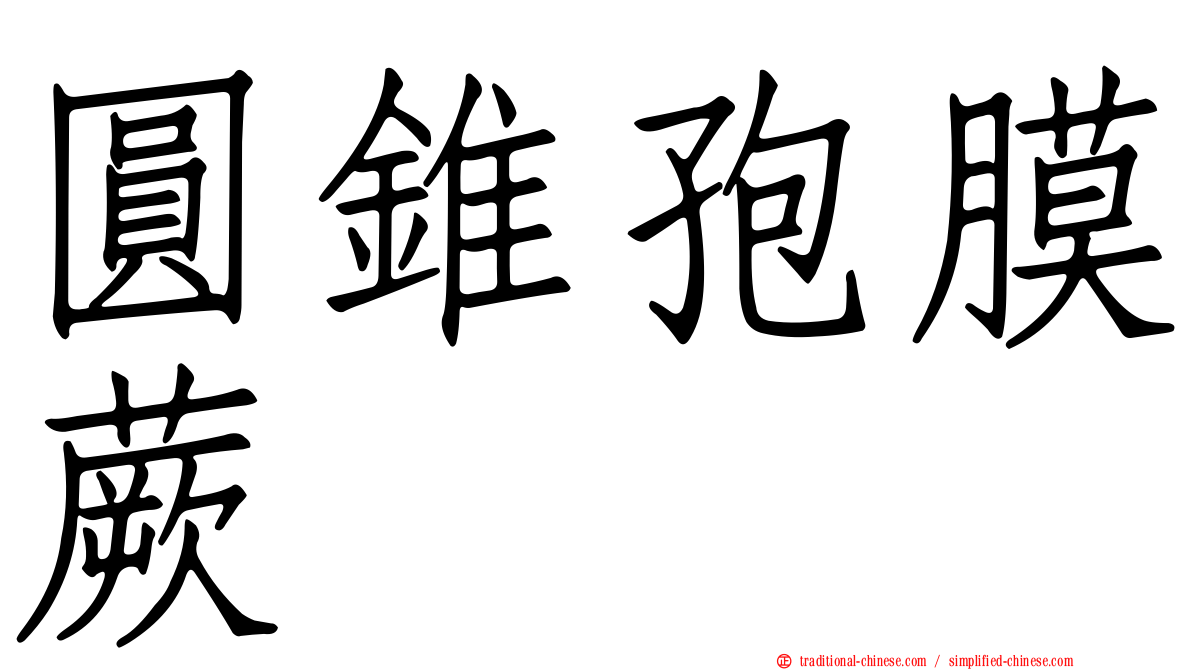 圓錐孢膜蕨