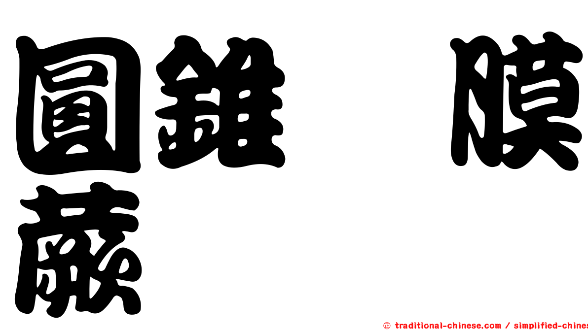 圓錐孢膜蕨