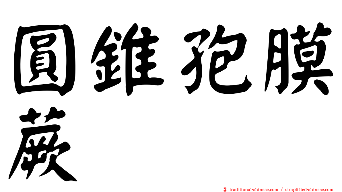 圓錐孢膜蕨
