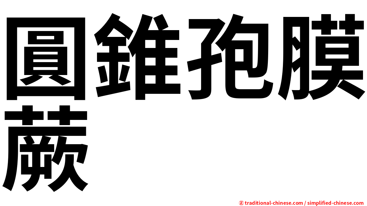 圓錐孢膜蕨