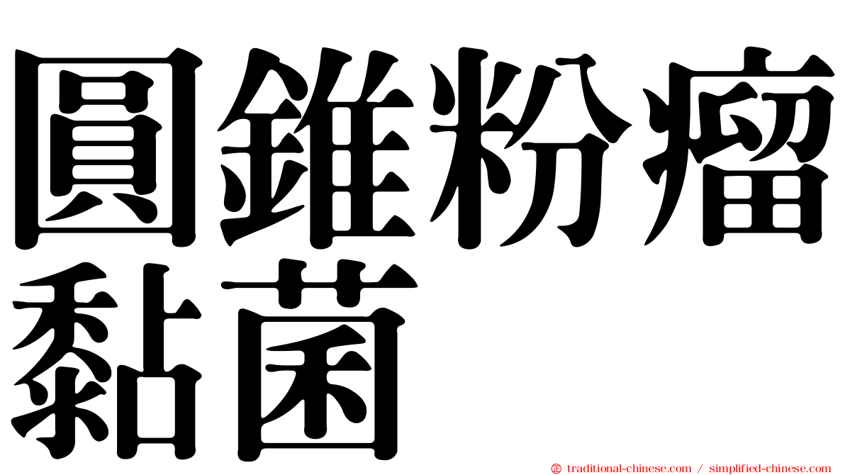 圓錐粉瘤黏菌