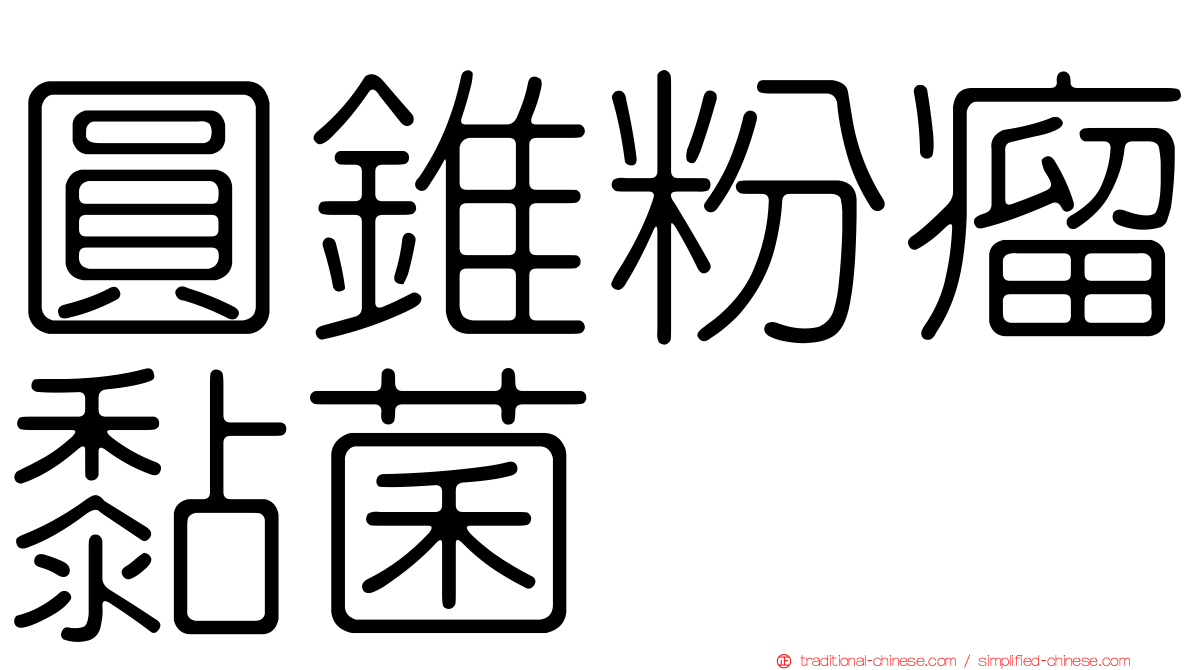 圓錐粉瘤黏菌