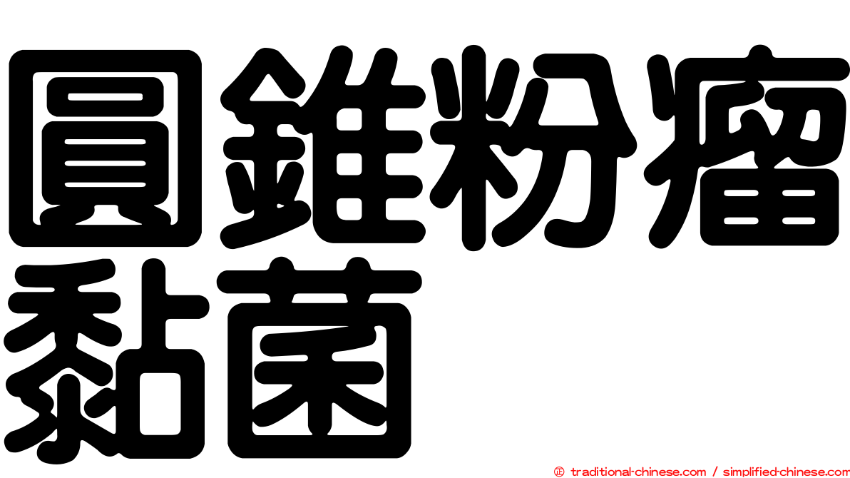 圓錐粉瘤黏菌