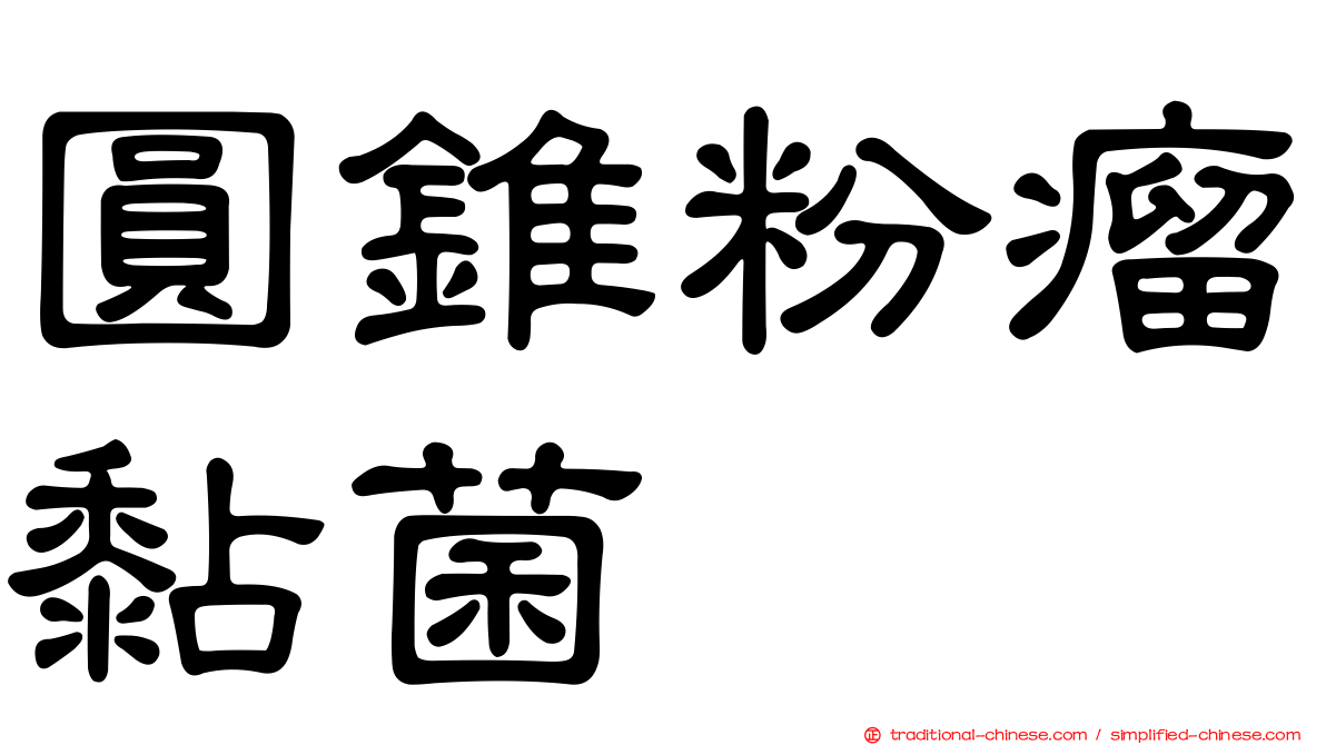 圓錐粉瘤黏菌