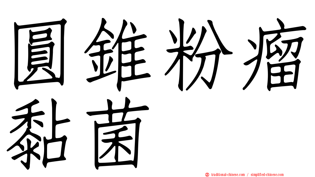 圓錐粉瘤黏菌