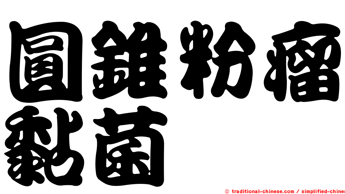 圓錐粉瘤黏菌