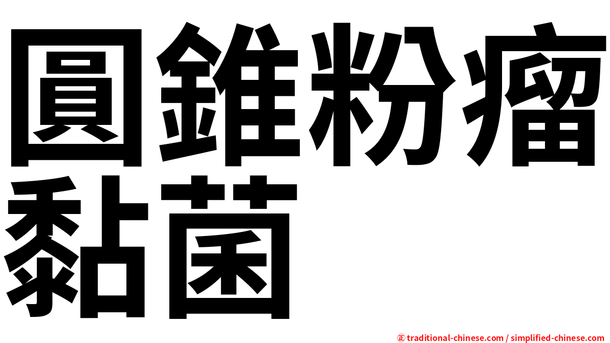 圓錐粉瘤黏菌