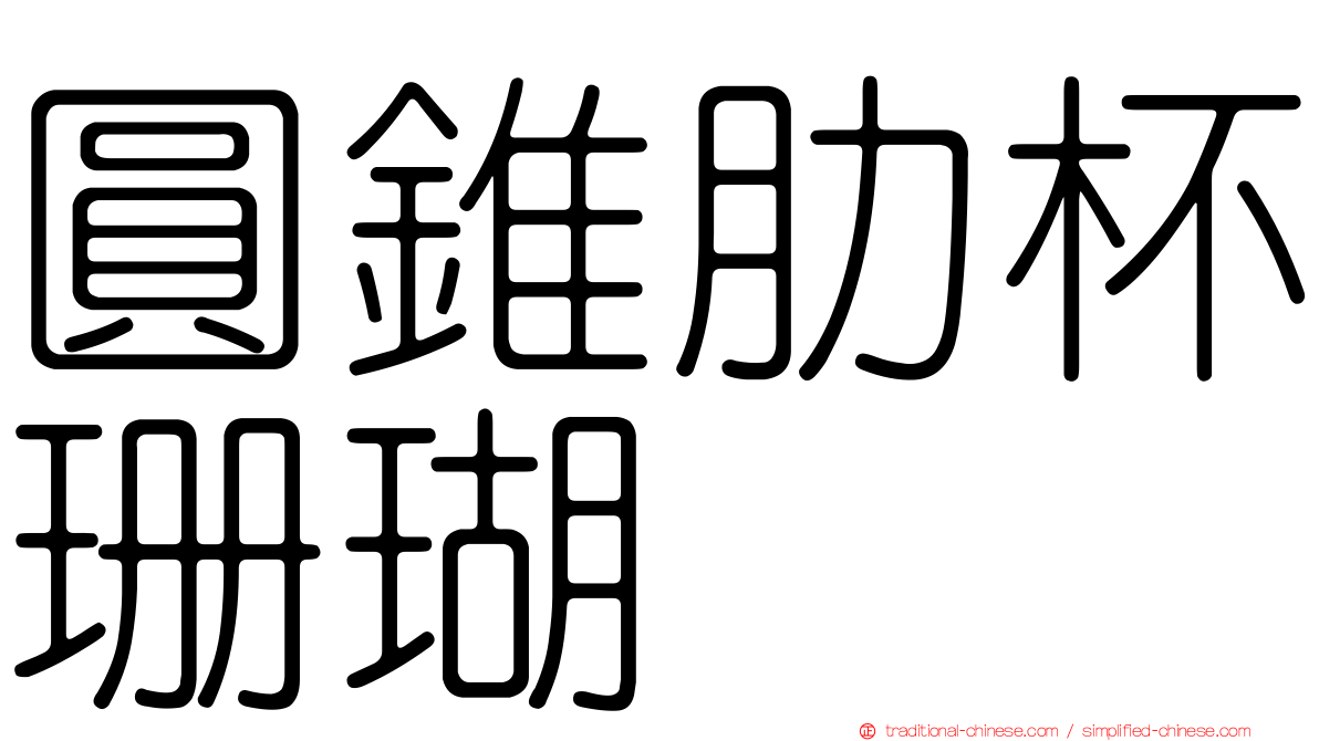 圓錐肋杯珊瑚