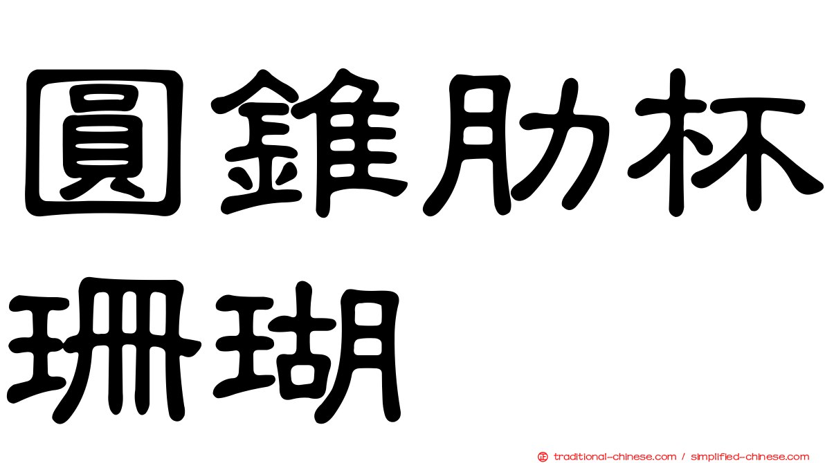 圓錐肋杯珊瑚