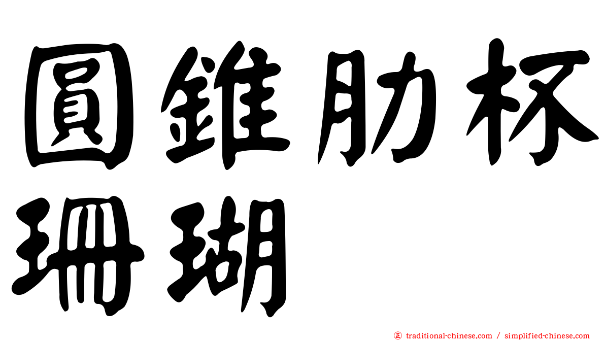 圓錐肋杯珊瑚