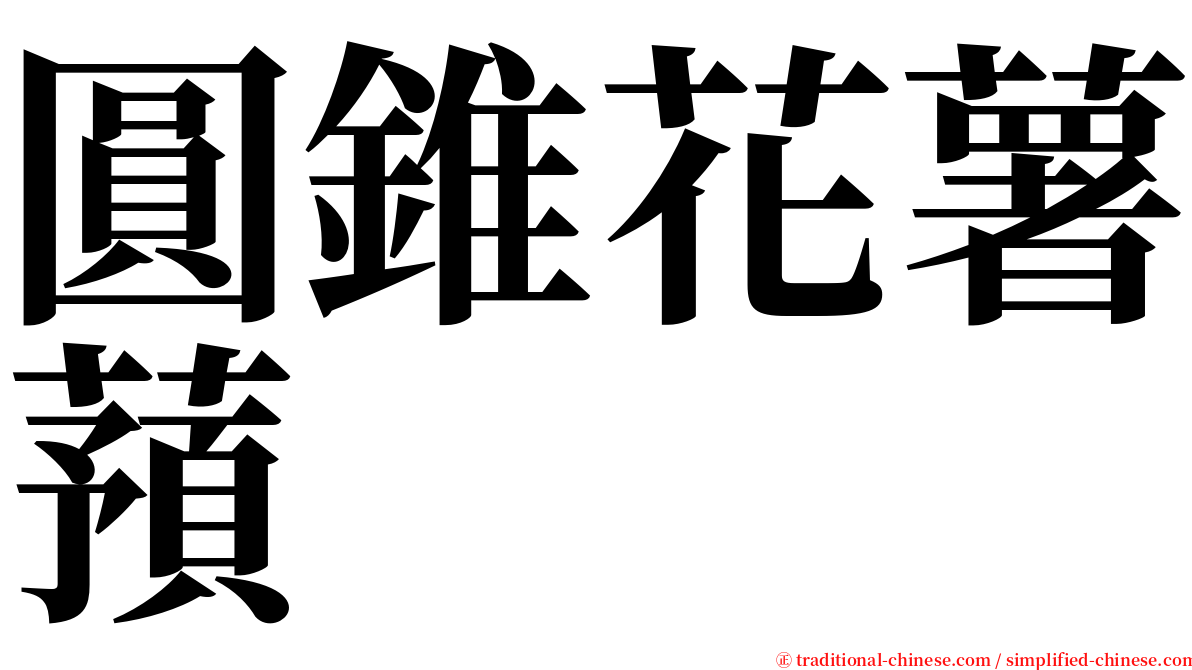 圓錐花薯蕷 serif font