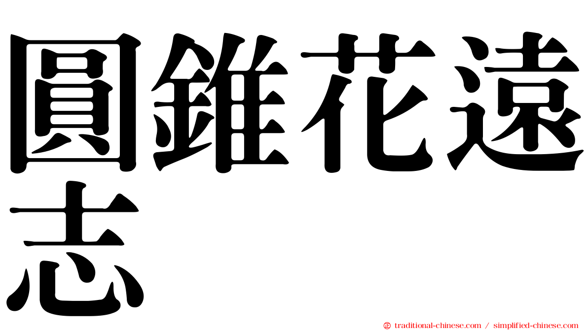 圓錐花遠志
