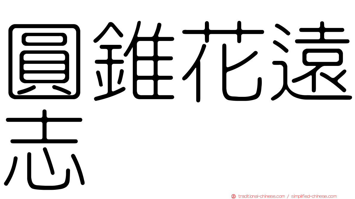 圓錐花遠志