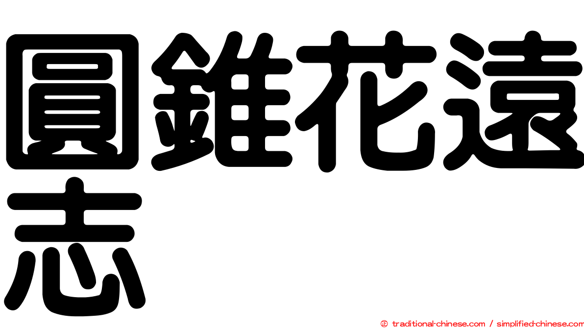 圓錐花遠志