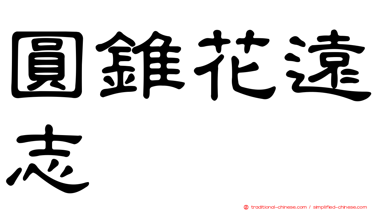 圓錐花遠志